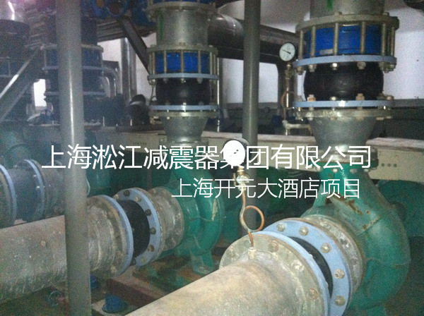 【上海松江開元名都大酒店】彈簧減震器現場