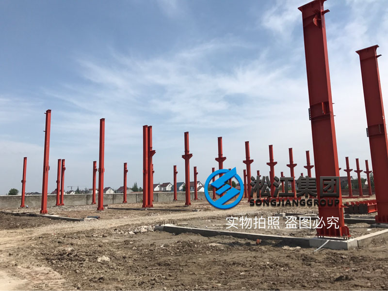 上海淞江集團南通工廠年產120萬件減震器項目進度跟蹤