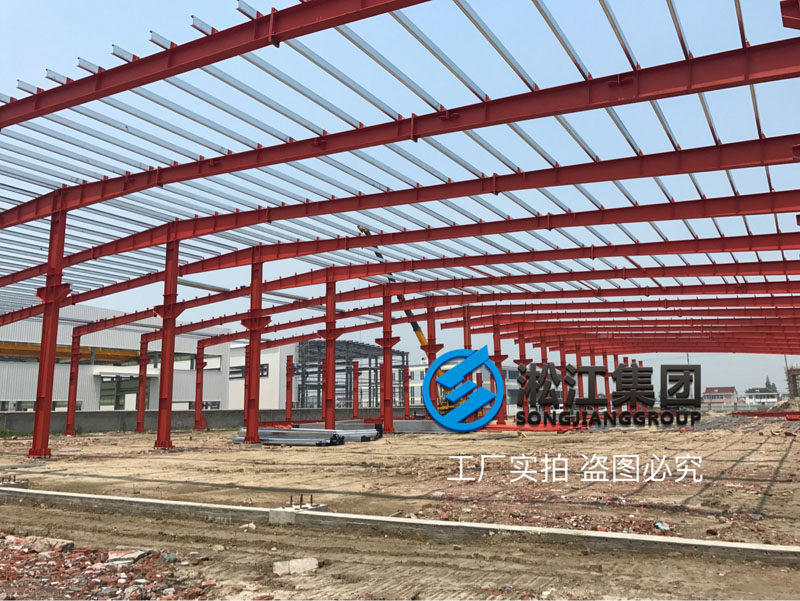 上海淞江集團南通工廠年產120萬件減震器項目進度跟蹤