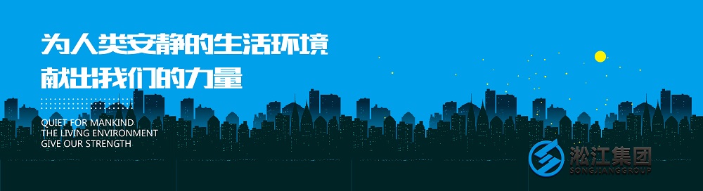 【ANSI】DN150美標(biāo)橡膠防震接頭“美國標(biāo)準(zhǔn)”