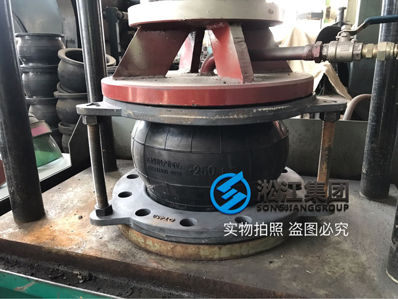 DN250���z���^��ī���m���șz�y�F��