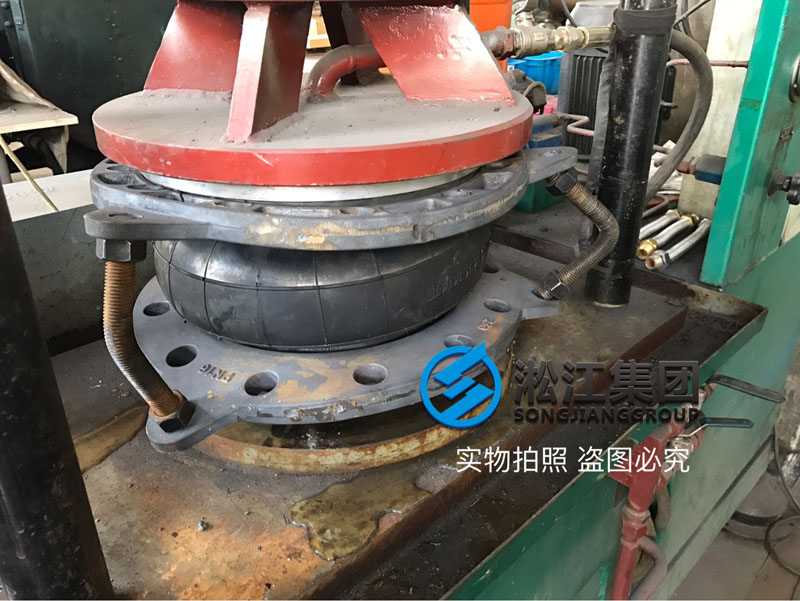 DN250���z���^��ī���m���șz�y�F��