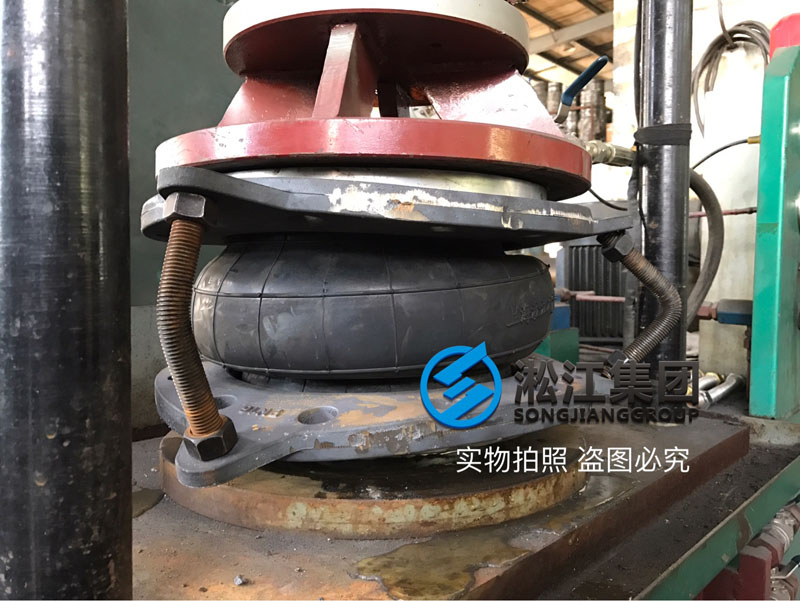 DN250���z���^��ī���m���șz�y�F��