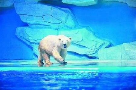 如何打造海洋極地世界維生系統(tǒng)？